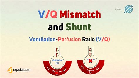 v/q ratio mismatch|what is v q matching.